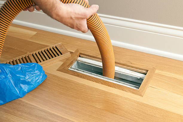 Best Local Air Duct Cleaning Services  in Kenton, TN