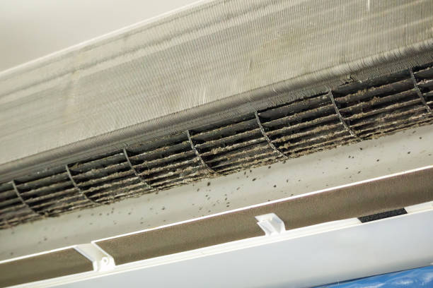  Kenton, TN Airduct Cleaning Pros